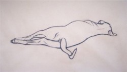 Drawing animal dog