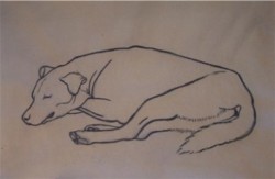 Drawing animal dog