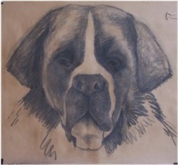 Drawing animal dog