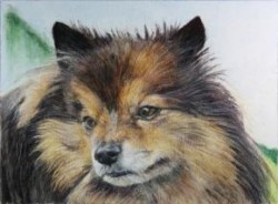 Mixed Media Animal Dog