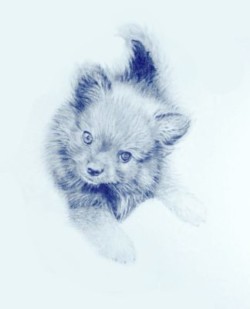 Drawing animal dog